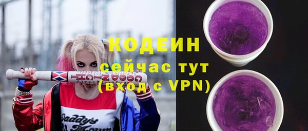 прущие грибы Арсеньев