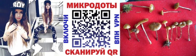 Псилоцибиновые грибы Psilocybe  Абдулино 
